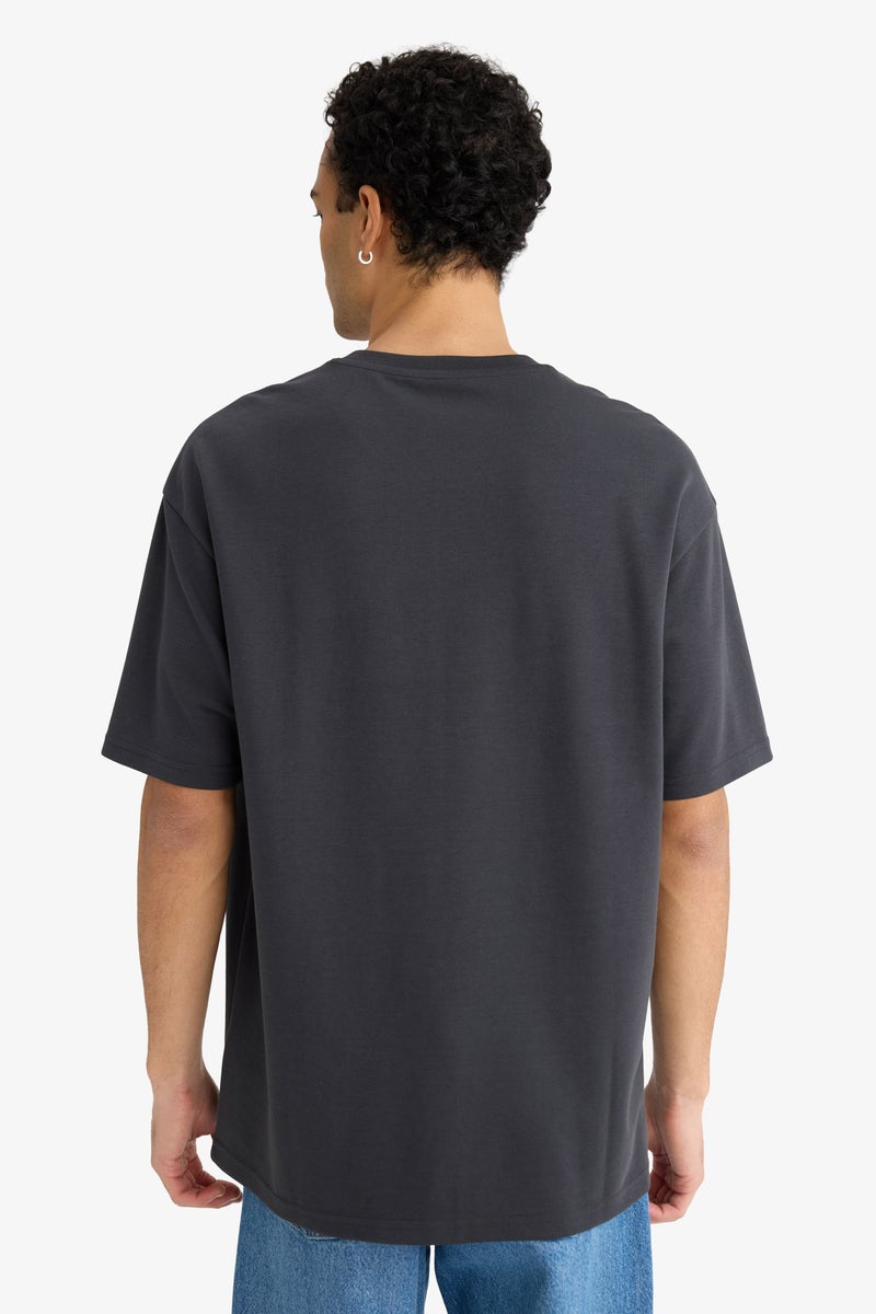 DeFacto Grey Man Boxy Fit Crew Neck Short Sleeve Printed T-Shirt Casual - Image 5